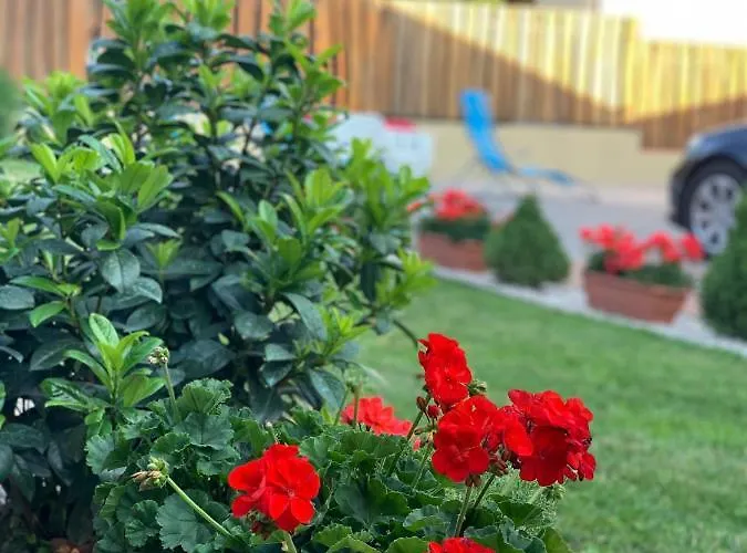 House4u Balatonszárszó